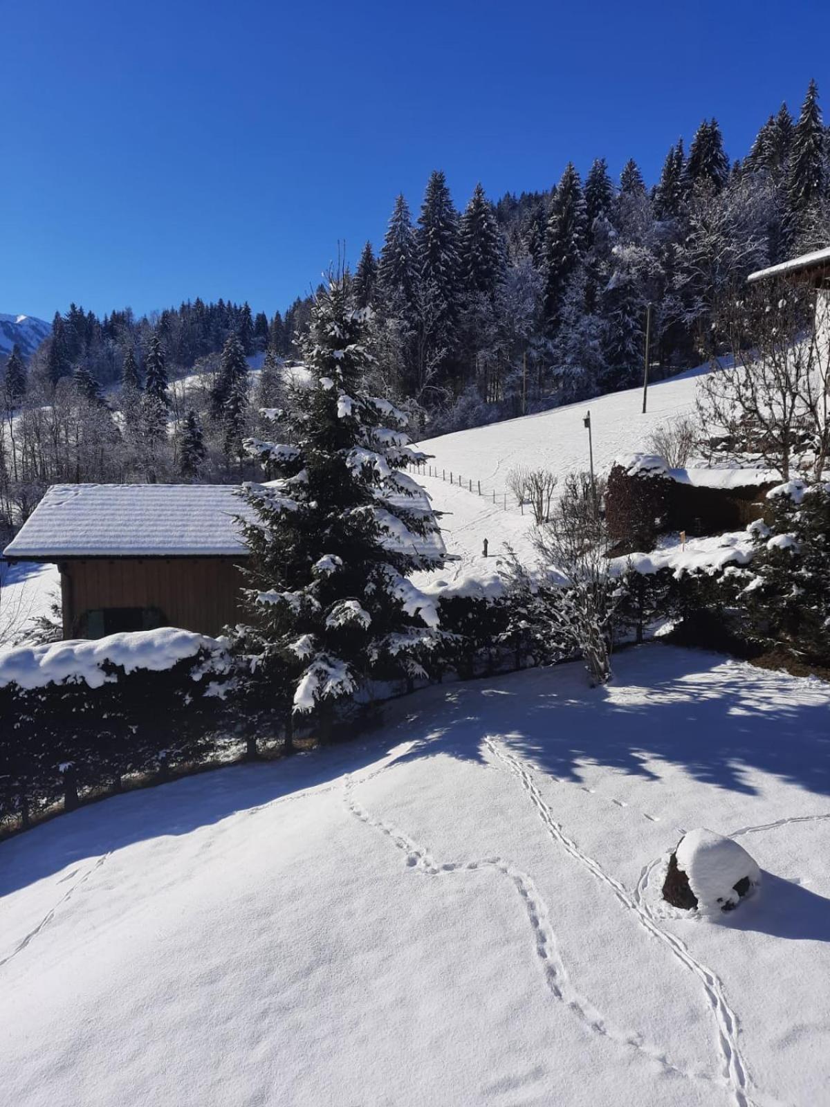 Berghof Mehlan Hotel Fischen im Allgaeu Стая снимка